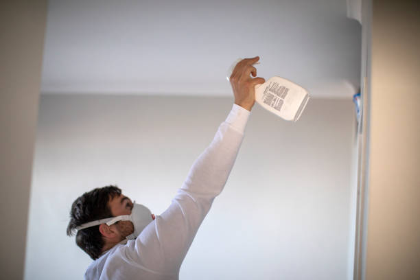 Mold Removal and Inspection in Ohkay Owingeh, NM